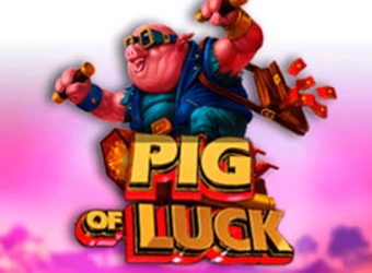 Pig Of Luck