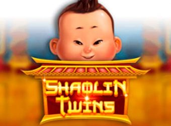 Shaolin Twins