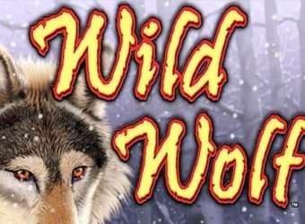 Wild Wolf